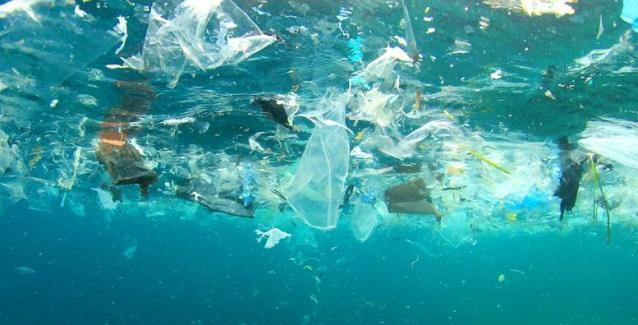 Προς ψήφιση το σχέδιο νόμου για την κατάργηση των πλαστικών μιας χρήσης Προς ψήφιση το σχέδιο νόμου για την κατάργηση των πλαστικών μιας χρήσης