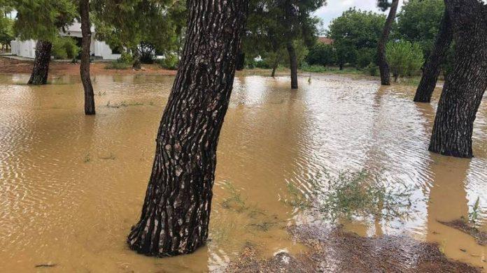 Δύο νεκροί από τη σφοδρή κακοκαιρία – Αττική, Κορινθία, Αργολίδα αναμένεται να χτυπήσει ο «Ιανός» Δύο νεκροί από τη σφοδρή κακοκαιρία – Αττική, Κορινθία, Αργολίδα αναμένεται να χτυπήσει ο «Ιανός»