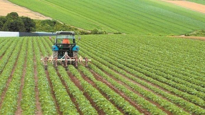 Επιδότηση λιπασμάτων 15% για αγρότες: ποιοι κερδίζουν και πόσο