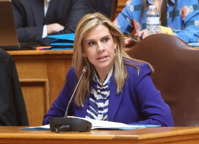 Ζ. Ράπτη: Το Σχέδιο αποβλέπει σε ένα ολοκληρωμένο και πρωτοποριακό μοντέλο ψυχικής υγείας Ζ. Ράπτη: Το Σχέδιο αποβλέπει σε ένα ολοκληρωμένο και πρωτοποριακό μοντέλο ψυχικής υγείας