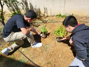 <img src="Green-School-by-Τράπεζα-Χανίων1.jpg" alt="green-school">