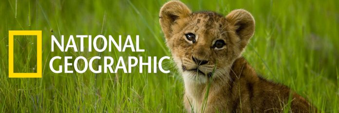 Το National Geographic απολύει τους τελευταίους συντάκτες Το National Geographic απολύει τους τελευταίους συντάκτες