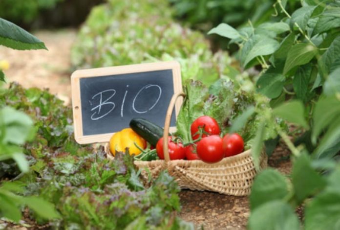 Μόνο το 9,9% της γεωργικής έκτασης της Ευρώπης χρησιμοποιείται για βιολογική παραγωγή Μόνο το 9,9% της γεωργικής έκτασης της Ευρώπης χρησιμοποιείται για βιολογική παραγωγή