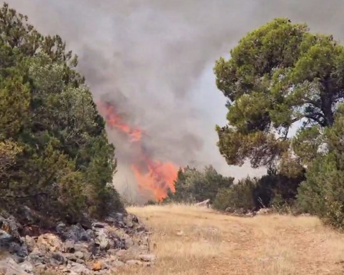 Οι 5+1 περιοχές με πολύ υψηλό κίνδυνο πυρκαγιάς σήμερα Οι 5+1 περιοχές με πολύ υψηλό κίνδυνο πυρκαγιάς σήμερα