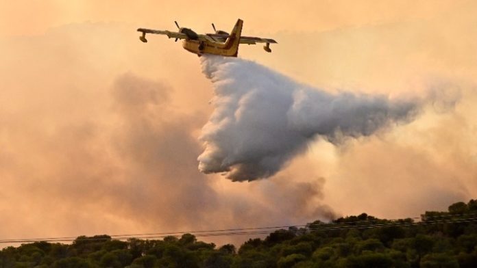 Φυλακή και πρόστιμα έως 30.000 ευρώ ακόμη και για εμπρησμό εξ αμελείας Φυλακή και πρόστιμα έως 30.000 ευρώ ακόμη και για εμπρησμό εξ αμελείας