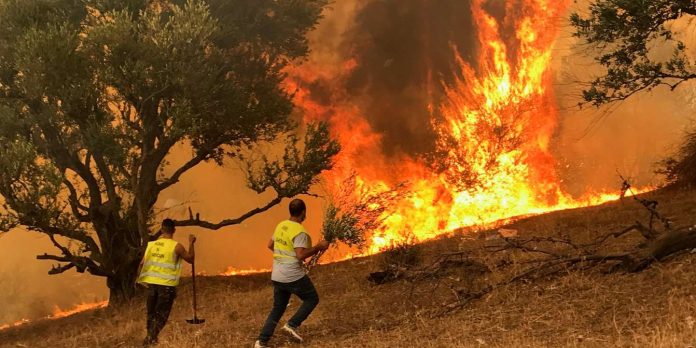Μάχη με τις αναζωπυρώσεις στην Πάρνηθα Νέες καταβολές πρώτης αρωγής ύψους 500.000 ευρώ προς τους πληγέντες από τις πυρκαγιές του καλοκαιριού