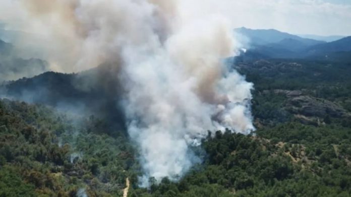 Έβρος: Μαίνεται για 13η μέρα η πυρκαγιά στη Δαδιά Έβρος: Μαίνεται για 13η μέρα η πυρκαγιά στη Δαδιά
