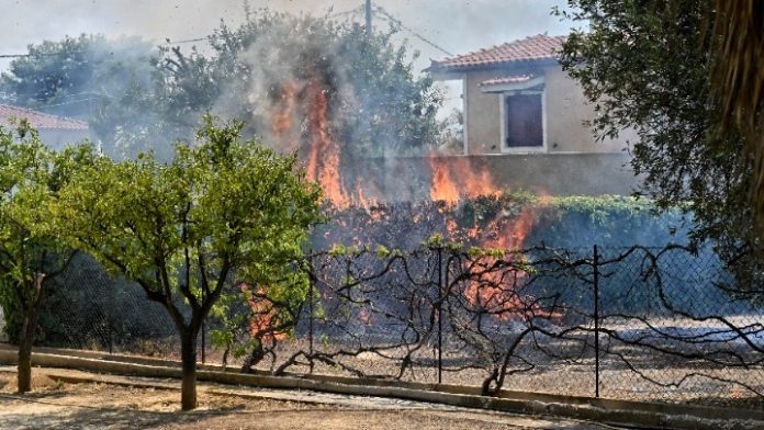 Ολοκληρώθηκε η βασική φάση της καταγραφής ζημιών από τις πυρκαγιές σε Αττική και Κορινθία Ολοκληρώθηκε η βασική φάση της καταγραφής ζημιών από τις πυρκαγιές σε Αττική και Κορινθία