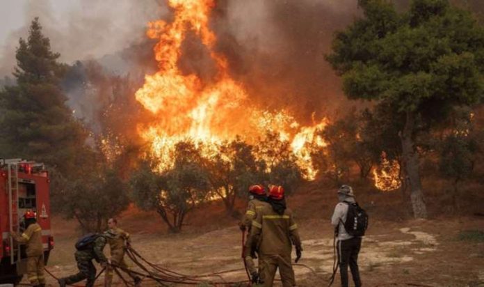 Ενισχύεται η ένταση και η έκταση του πύρινου μετώπου στον Έβρο Ενισχύεται η ένταση και η έκταση του πύρινου μετώπου στον Έβρο