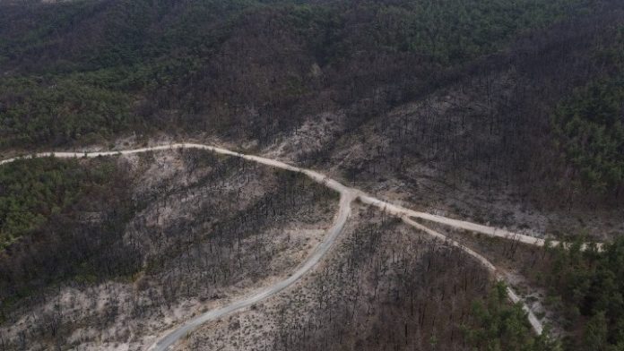 Δαδιά: Έσβησε η πυρκαγιά, σε επιφυλακή η πυροσβεστική για αναζωπυρώσεις Δαδιά: Έσβησε η πυρκαγιά, σε επιφυλακή η πυροσβεστική για αναζωπυρώσεις