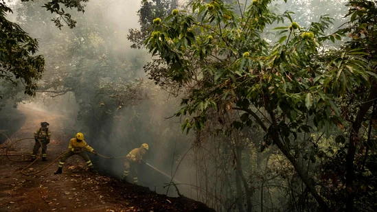 Ισπανία: Απομακρύνθηκαν 3.000 άνθρωποι λόγω πυρκαγιάς στην Τενερίφη Ισπανία: Απομακρύνθηκαν 3.000 άνθρωποι λόγω πυρκαγιάς στην Τενερίφη
