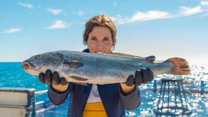 Avramar: Αποκτά 12 νέα φιλικά προς το περιβάλλον πλοία Avramar: Αποκτά 12 νέα φιλικά προς το περιβάλλον πλοία