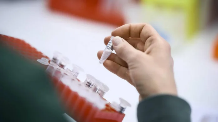 Η Zealand Pharma εκτινάσσεται κατά 30% χάρη στα θετικά αποτελέσματα του φαρμάκου απώλειας βάρους Η Zealand Pharma εκτινάσσεται κατά 30% χάρη στα θετικά αποτελέσματα του φαρμάκου απώλειας βάρους