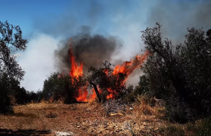 Δήμαρχος Γλυφάδας: Αν δεν ήμασταν εκεί, μπορεί να είχαμε φωτιά στον Υμηττό Δήμαρχος Γλυφάδας: Αν δεν ήμασταν εκεί, μπορεί να είχαμε φωτιά στον Υμηττό