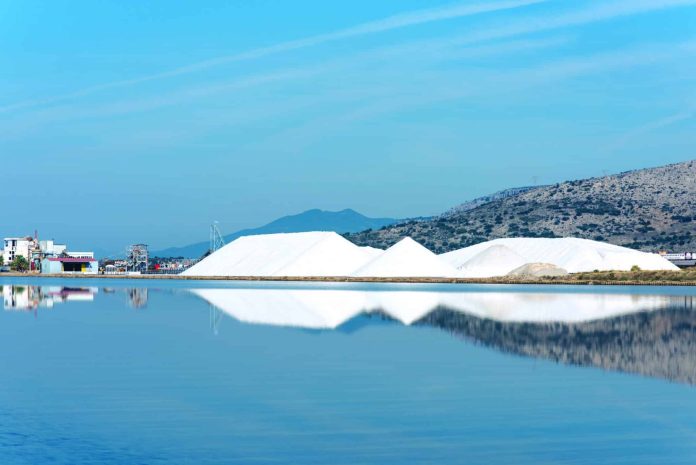Εννέα ισχυροί διεκδικητές για τις «Ελληνικές Αλυκές» και τον έλεγχο του αλατιού Εννέα ισχυροί διεκδικητές για τις «Ελληνικές Αλυκές» και τον έλεγχο του αλατιού