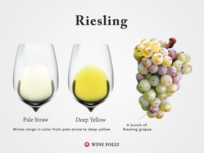 Riesling: γιατί θεωρείται η πιο εκλεπτυσμένη λευκή ποικιλία Riesling: γιατί θεωρείται η πιο εκλεπτυσμένη λευκή ποικιλία