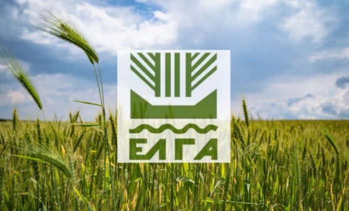 ΕΛΓΑ: Αποζημιώσεις 73 εκατ. ευρώ και επιτάχυνση εκκαθαρίσεων ζημιών ΕΛΓΑ: Αποζημιώσεις 73 εκατ. ευρώ και επιτάχυνση εκκαθαρίσεων ζημιών