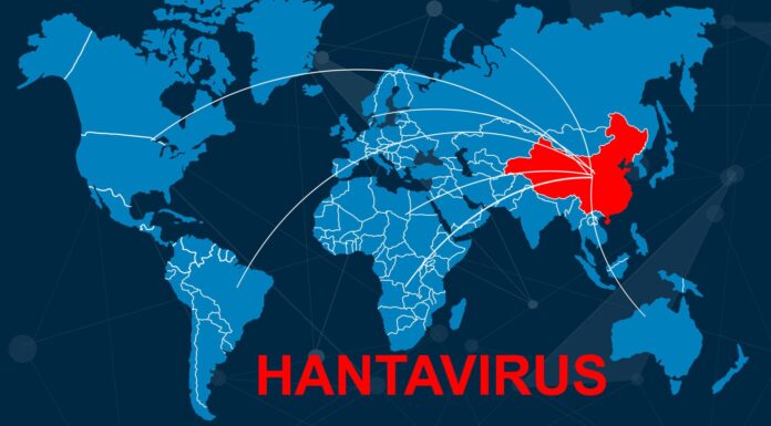 Τι δείχνουν τα στοιχεία για τον hantavirus Τι δείχνουν τα στοιχεία για τον hantavirus