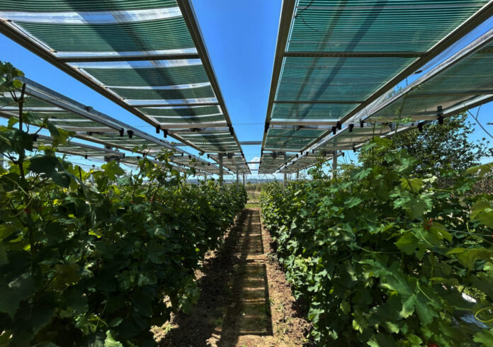 Agrinano 26 αναδεικνύει αγροβολταϊκά και νανοτεχνολογία στη γεωργία Agrinano 26, Agri-Nano, Agrivoltaics, OET, OET Energy Technologies, COPE-Nano, HOPE-A, Thess Food Hub, Agrinano OR Agrinano26