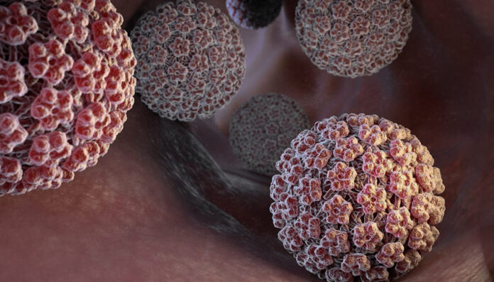 HPV και στύση