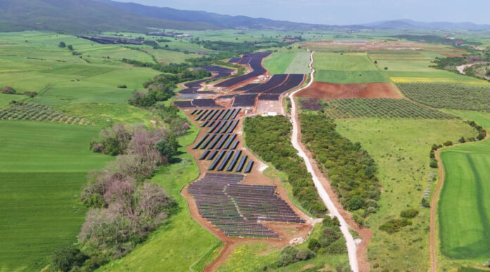LONGi Faria Renewables