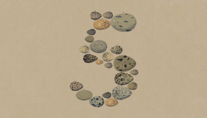 Anthropic Opus 5